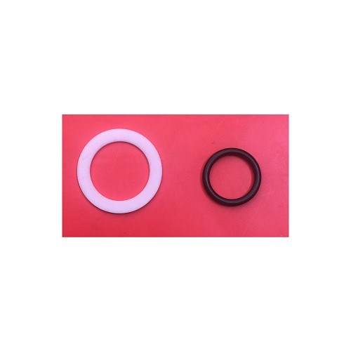 НАБОР ПРОКЛАДОК ТЕФЛОН ДЛЯ ЭРВ CAREL TE?ON GASKETS 20PCS KIT (INCLUDING ALSO THE SIGHT-GLASS O-RING) E2VORI0000 - фото 14430