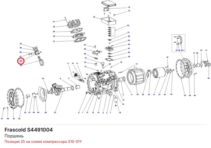 S4491004 Поршень серии S FRASCOLD S4491004