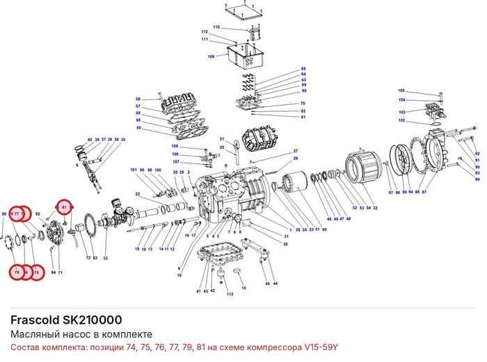 SK210000 Масляный насос в комплекте серий V/Z FRASCOLD SK210000