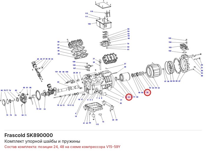 SK890000 Комплект упорной шайбы и пружины серий V/Z FRASCOLD SK890000
