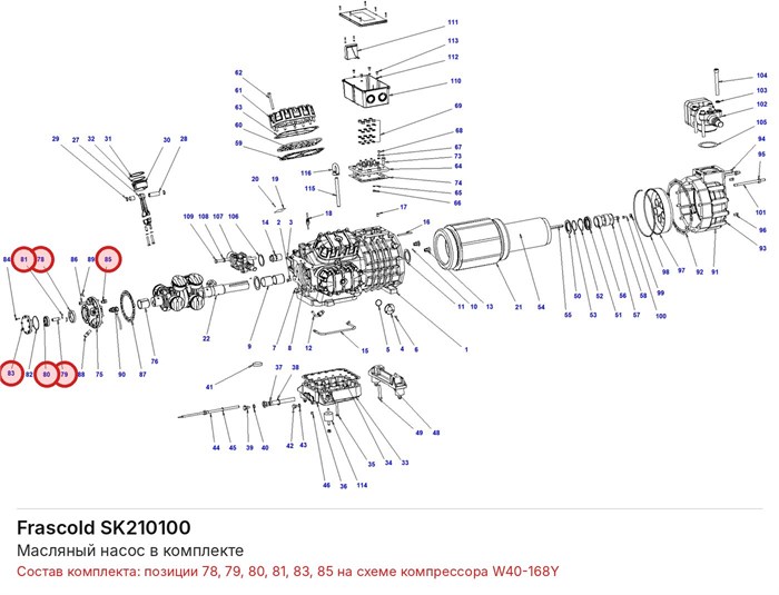 SK210100 Масляный насос в комплекте серии W FRASCOLD SK210100