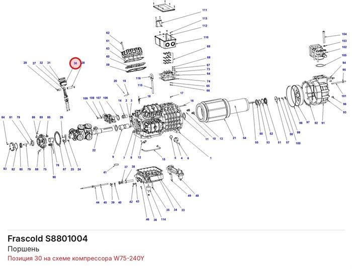 S8801004 Поршень серии W FRASCOLD S8801004