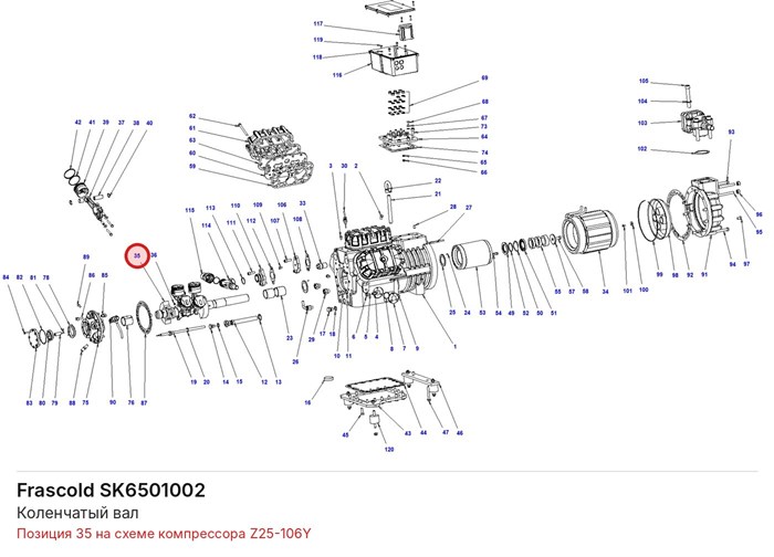SK6501002 Коленчатый вал серии Z FRASCOLD SK6501002