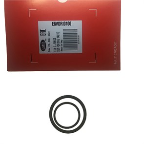 ПРОКЛАДКИ ДЛЯ ЭРВ CAREL,  E4V/E6V SPARE PART O-RINGS - SET FOR ONE VALVE - MULTIPACK 10PCS, E6VORI01 E6VORI0100