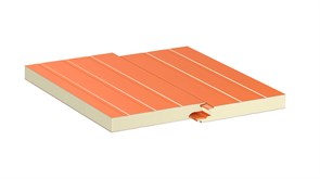 Сэндвич-панель стеновая PIR 100 SF AISI304/FOODSAFE CT PIR 100 SF AISI304/FOODSAFE Сэндвич-панель стеновая PIR 100 SF AISI304/FOODSAFE CT PIR 100 SF AISI304/FOODSAFE