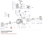 S2481002AA Коленчатый вал серии D FRASCOLD S2481002AA