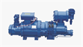 Компрессор DMZL SLD250-75 винтовой полугерметичный н.т. SLD250-75 - фото 21100