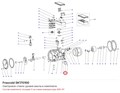 SK170100 Смотровое стекло уровня масла в комплекте FRASCOLD SK170100
