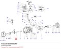 S2331002AA Коленчатый вал серии D FRASCOLD S2331002AA