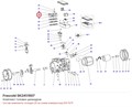 SK2451007 Комплект головки цилиндров серии D FRASCOLD SK2451007