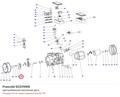 S2331008 Центробежный масляный диск серии D FRASCOLD S2331008